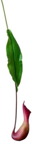 2Pcs Fake Asian Pitcher Plant Artificial Nepenthes Hanging Greenery Decor Red