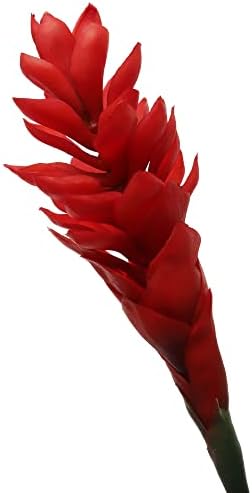 Larksilk 32 Inch Ginger Red Artificial Plant