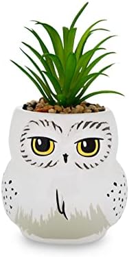 Harry Potter Hedwig 3-inch Ceramic Mini Planter with Artificial Succulent