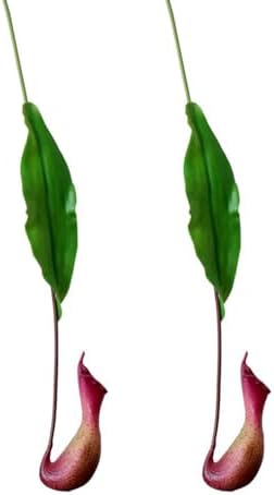 2Pcs Fake Asian Pitcher Plant Artificial Nepenthes Hanging Greenery Decor Red