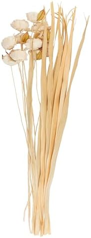 Deco 79 Dried Cream Foliage Decor 10x10x49