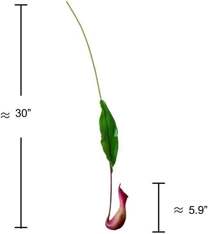 2Pcs Fake Asian Pitcher Plant Artificial Nepenthes Hanging Greenery Decor Red