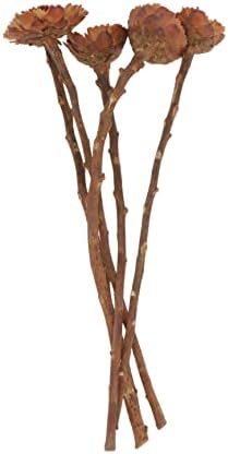 Amosfun 5Pcs Dried Sunflower Artificial Flowers for Decor