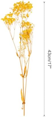 MECCANIXITY Dried Yellow Babys Breath Flowers 17 Inch Branches for Wedding Home Decor