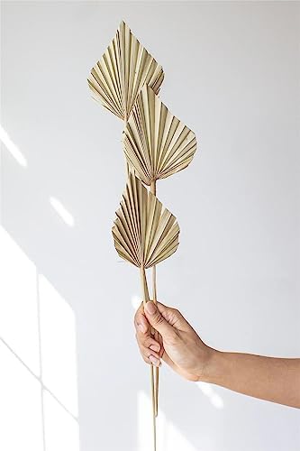 Comtelek Dried Palm Leaves 10pcs Boho Decor