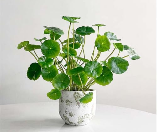 3pcs Small Fake Lotus Plants with Roots and Leaves for Home Office Table Decor