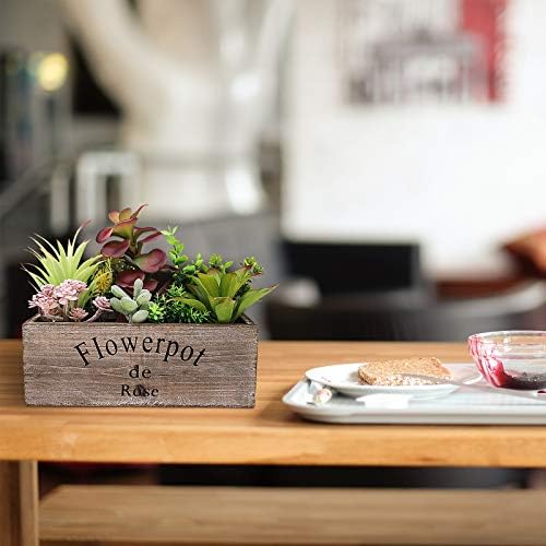 Hopewood Artificial Succulent Plants in Wooden Planter Box