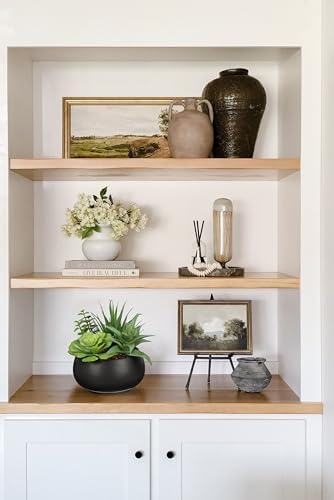 Hollyone Fake Plants Artificial Succulents in Black Ceramic Pots for Home Decor