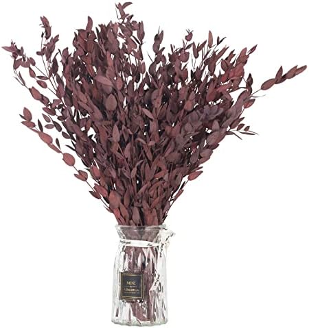 Tavkite Dried Eucalyptus Garland Stems 4 Oz Bundle 1