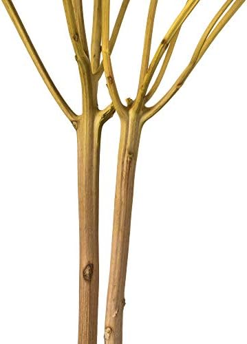 Vickerman Yellow Hydrangea 15 Inch Artificial Flower