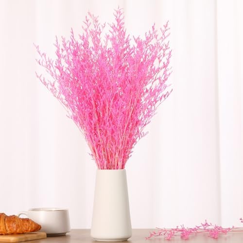Dried Flowers Bouquet Natural Caspia Bundle Floral Lavender Babys Breath Arrangements for Wedding Decor
