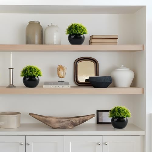 ASHELYULLA Small Fake Plants Set of 3 Artificial Plants for Home Office Decor