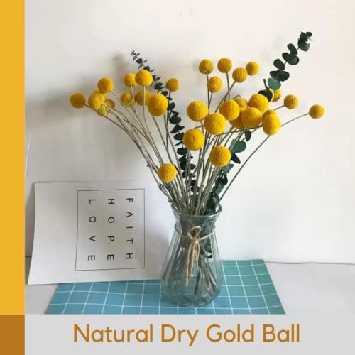 30 Pcs Natural Dried Billy Balls Flowers for Home Decor and Wedding