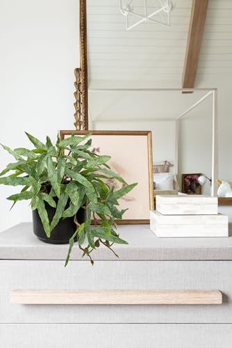 Briful Artificial Fern Plant 9 Indoor 2 Pack