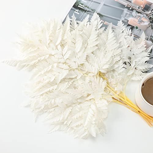 Tavkite Dried Boston Ferns 10 PCS Realistic Leaves for Wedding Decorations