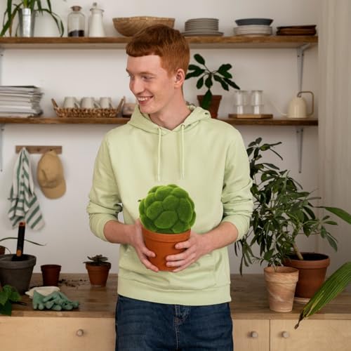 DOITOOL 2 Pcs Artificial Moss Balls for Home Decor