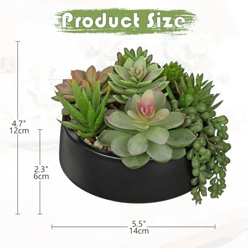 DILATATA Artificial Succulent Plants in Black Ceramic Pot