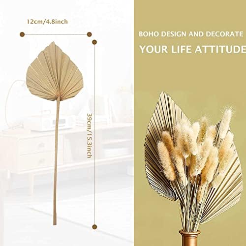 Boho Dried Palm Leaves 6 Pcs Natural Palm Plant Spears for Home Office Decor