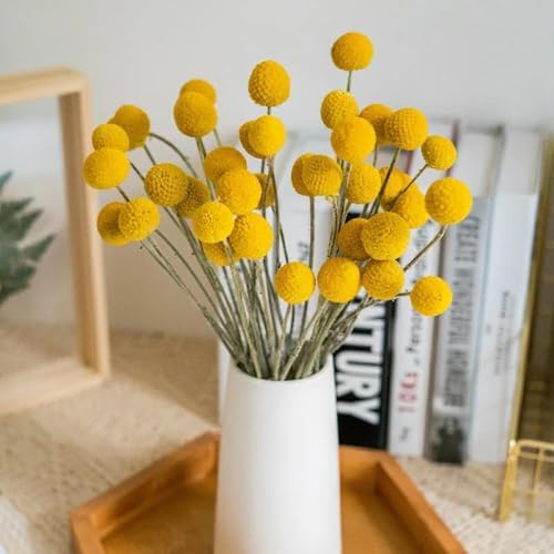 20Pcs Craspedia Billy Balls Dried Preserved Flowers for Home Wedding Decor