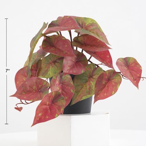 Doment Artificial Red Caladium Plants Indoor 7 Inches Potted Decor