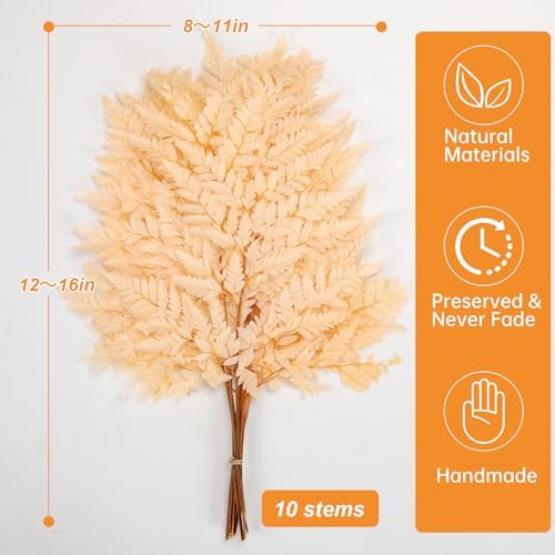Tavkite Dried Boston Ferns 10 PCS Realistic Leaves for Wedding Decorations
