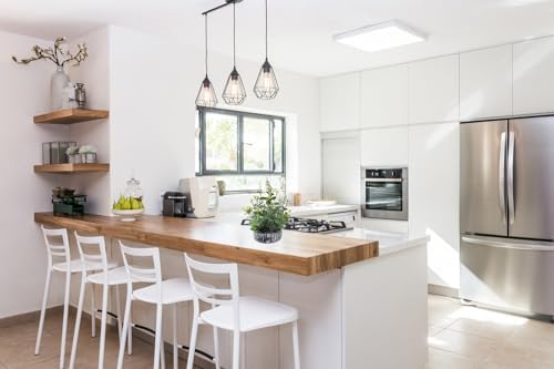 Artificial Eucalyptus Plant with Rustic Black Cement Pot for Home Office Decor