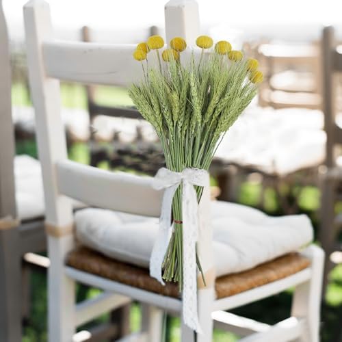CISDUEO 60 Pcs Natural Dried Wheat Stalks Bundle