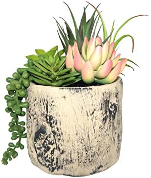 Hisow Artificial Succulent Plants in Ceramic Pots Assorted Decor