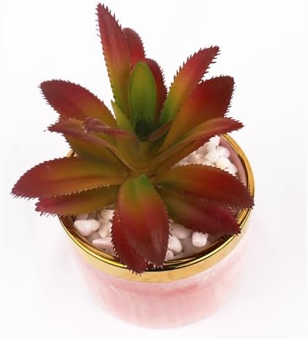 Tzhome Artificial Mini Succulent Plants with Ceramic Pots
