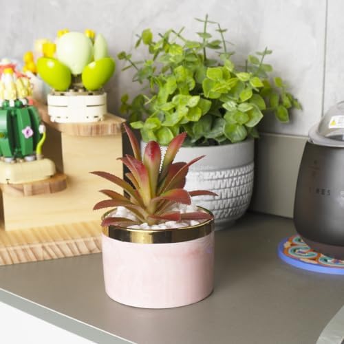 Tzhome Artificial Mini Succulent Plants with Ceramic Pots
