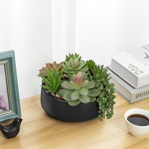 DILATATA Artificial Succulent Plants in Black Ceramic Pot