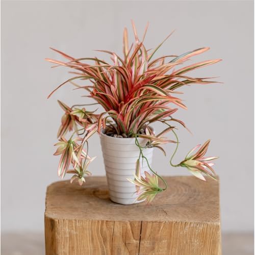 Faux Hanging Spider Plant in Pot for Indoor Decor