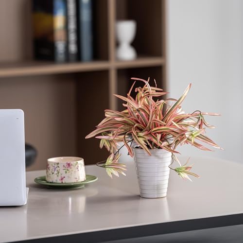 Faux Hanging Spider Plant in Pot for Indoor Decor