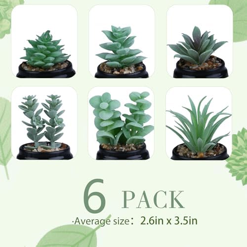GREENTIME 6 Pcs Artificial Succulent Plants Set