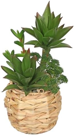 10 Inch Large Artificial Succulents in Woven Pots