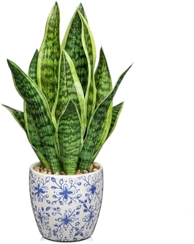 Hollyone Artificial Snake Plant with Blue Porcelain Pot