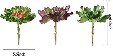 3 pcs 6 Inch Tall Assorted Echeveria Artificial Plants