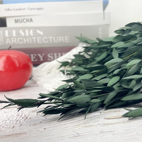 Preserved Dried Eucalyptus Greenery Stems 20 Pcs 16 Inches for Decor and Aromatherapy