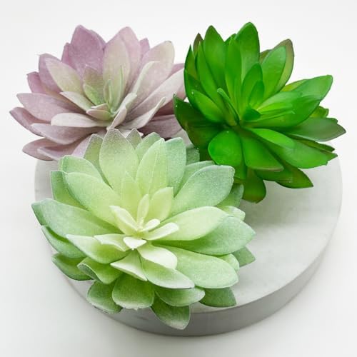 Woohome 8 Piece Fake Succulent Set for Decor