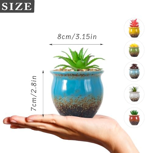 ARTKETTY 6 Pack Artificial Succulent Plants in Ceramic Pots for Home Office Decor