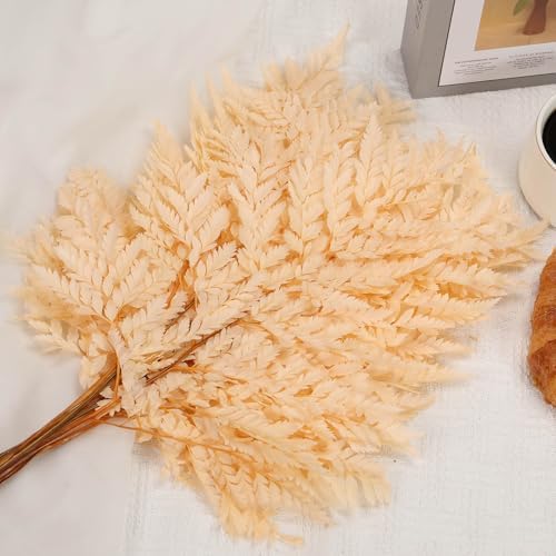 Tavkite Dried Boston Ferns 10 PCS Realistic Leaves for Wedding Decorations
