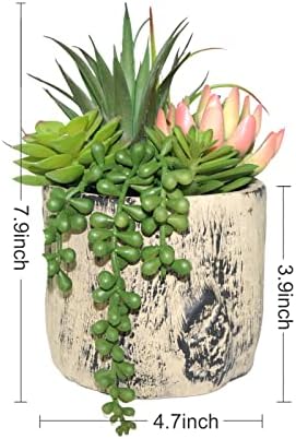 Hisow Artificial Succulent Plants in Ceramic Pots Assorted Decor