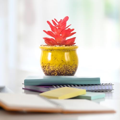 ARTKETTY 6 Pack Artificial Succulent Plants in Ceramic Pots for Home Office Decor