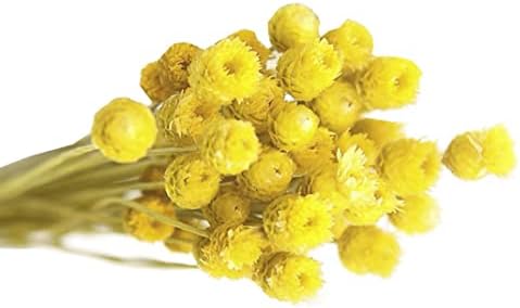Yellow Dried Daisy Bouquet for Home Decor