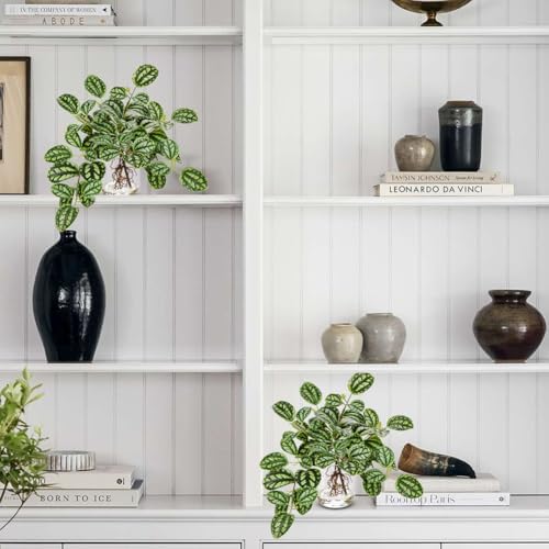 Artificial Watermelon Peperomia Stems in Glass Vase