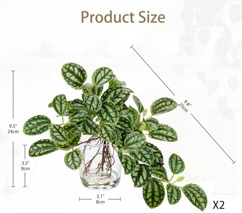 Artificial Watermelon Peperomia Stems in Glass Vase