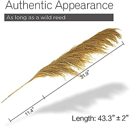 Gold Yellow Pampas Grass 4Pcs Rustic Decor for Living Room