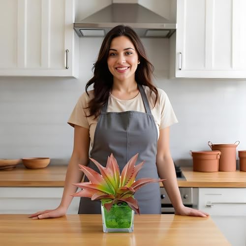 Forever Bene 126 Inch Artificial Aloe Plant