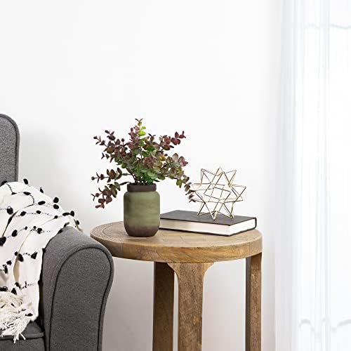Northlight Real Touch Two-Toned Spring Eucalyptus Artificial Plant in Ceramic Pot 10 Inch