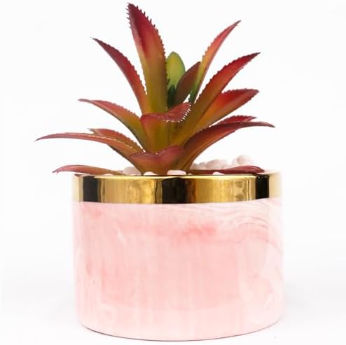 Tzhome Artificial Mini Succulent Plants with Ceramic Pots